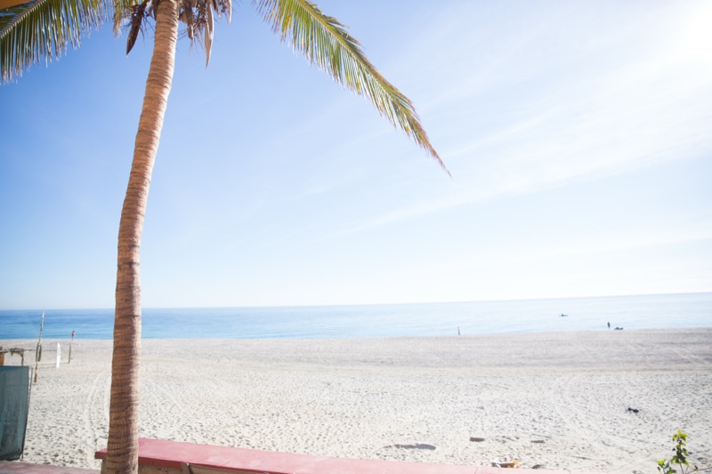 Baja In The Wind   2015